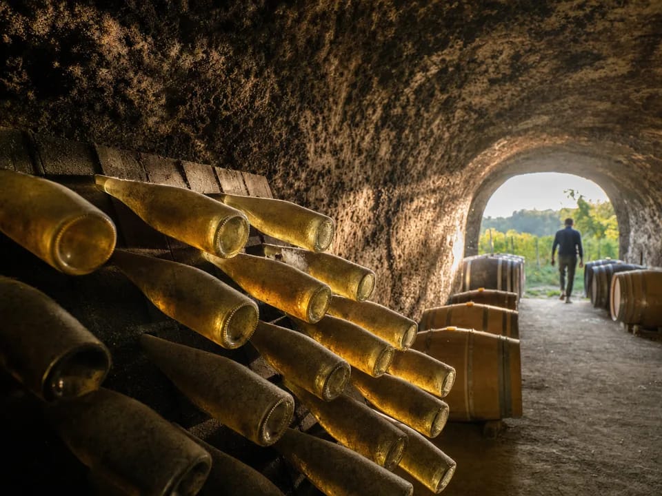 Botellas de vino de Tokaj en una bodega excavada en la roca y cubierta de moho oscuro, origen del vino de Tokaj con blockchain en Hungría
