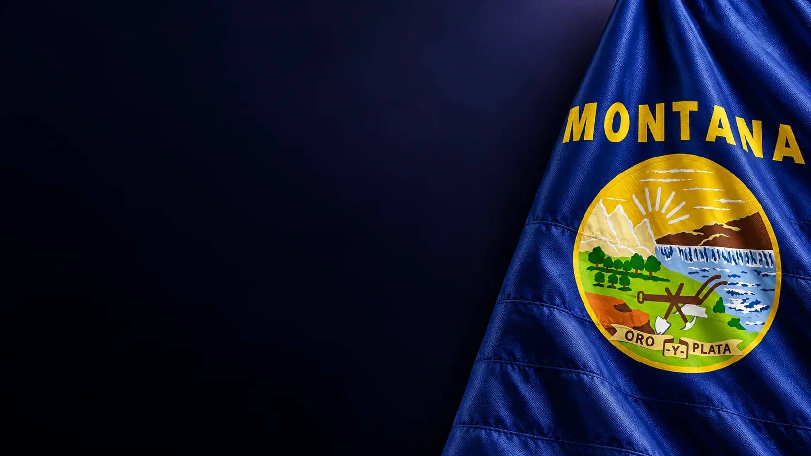 Ecosystem Development Regulation Montana crypto regulation: tokens and licensing | Metlabs