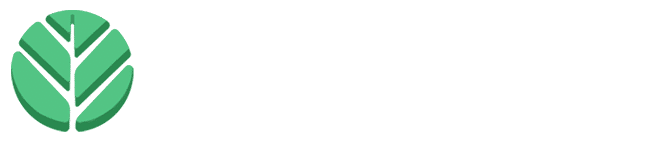 Empresa De Desarrollo Blockchain Y DApps