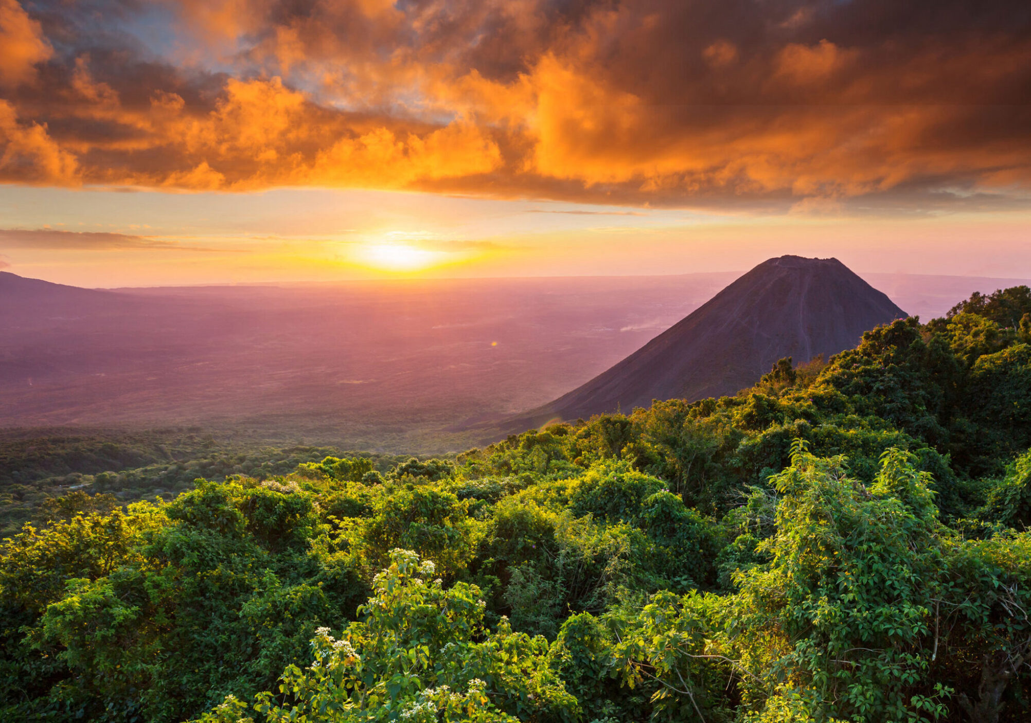 el salvador