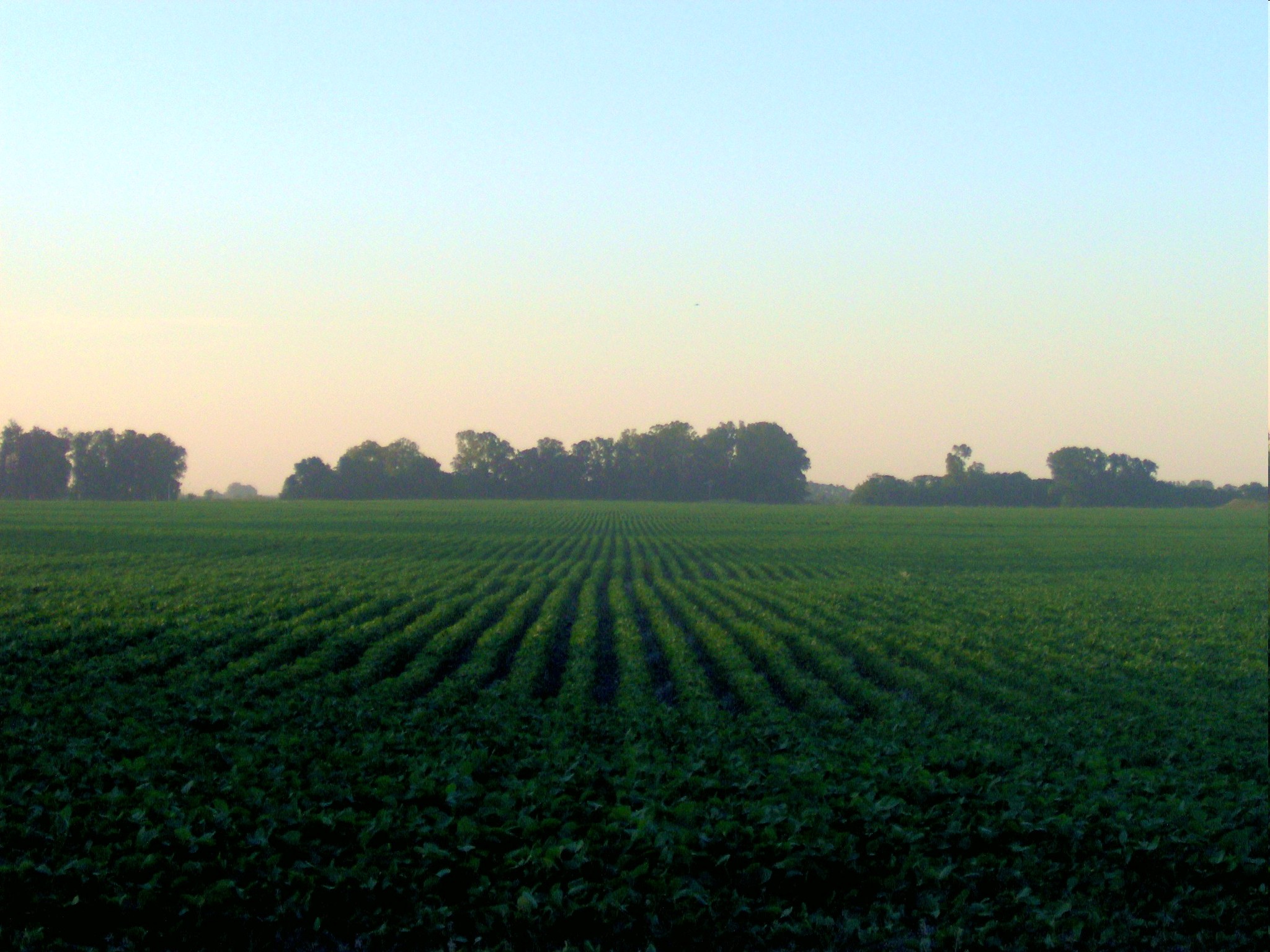 tokenizacion agricultura