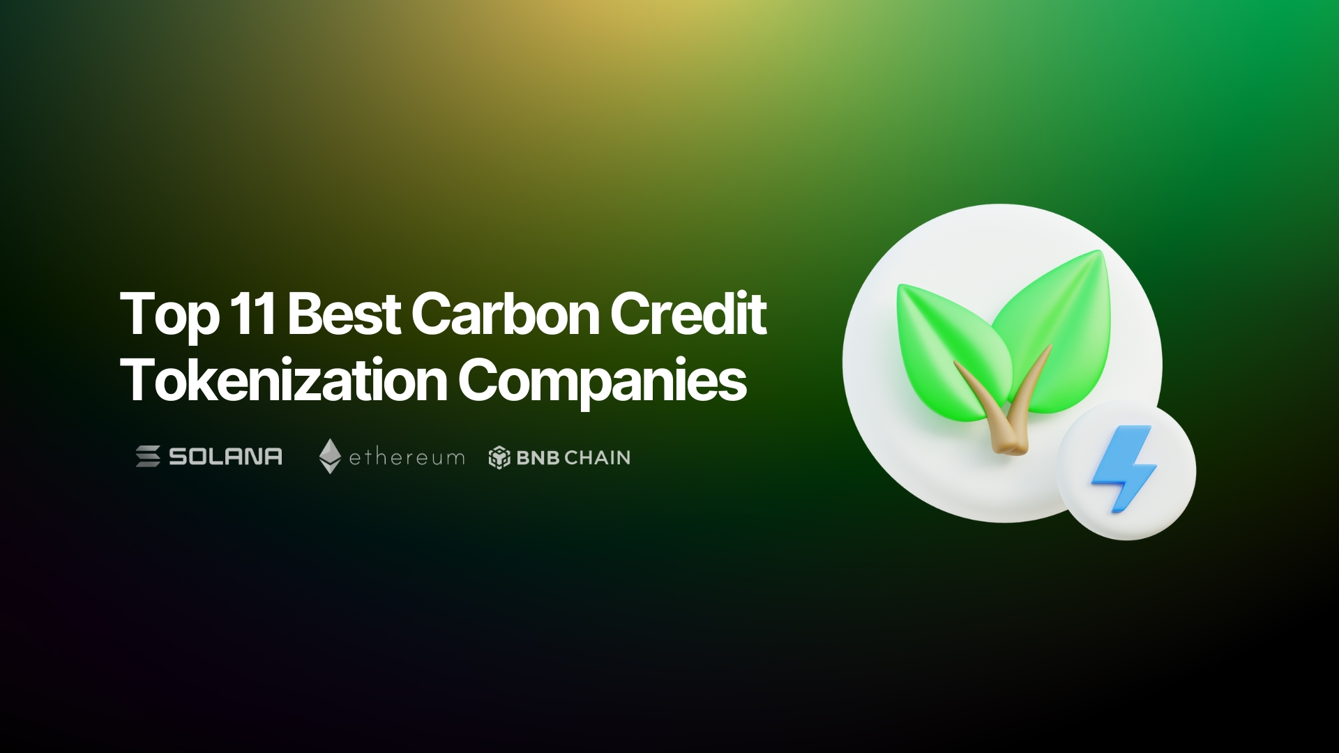 Best Carbon Credits Tokenization Software Blockchain
