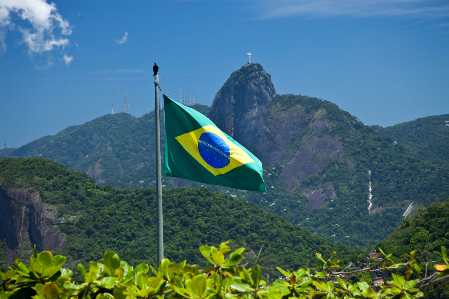 Descubre la regulación blockchain en Brasil (CVM, PSAV, BCB, COAF)