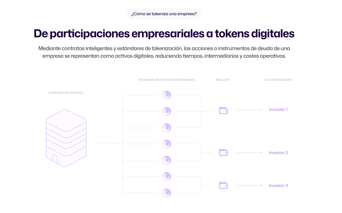 Discover the tokenization of companies and startups in 2025 (Equity, SPV, DAO, Sandbox, CASP License, SAFE, Fintech, SMEs, Revenue, Crowdfunding, Debt, AML/CFT, KYC).